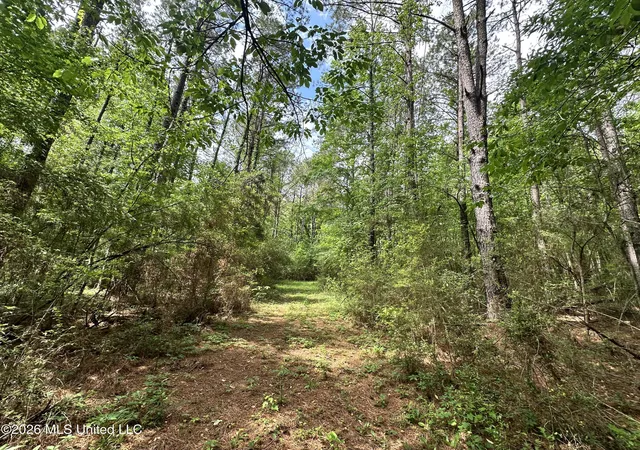 Photo 3 of Land for sale at Mccomb Holmesville Rd, Mc Comb, MS 39648 | MLS# 4147221 | Listing updated on 2026-04-25