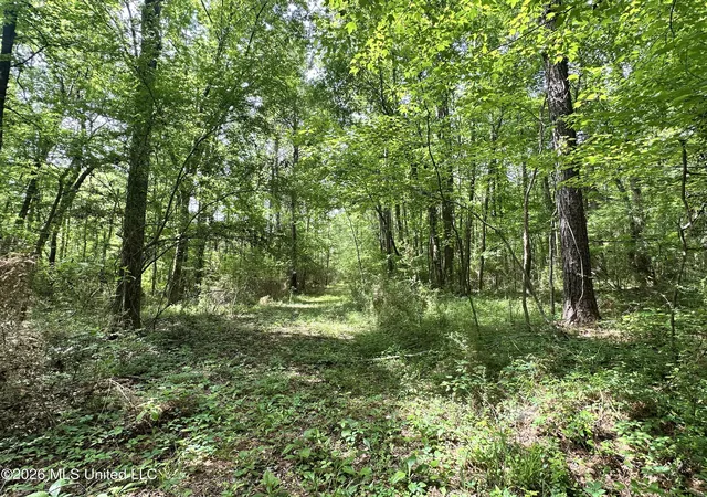 Photo 3 of Land for sale at Mccomb Holmesville Rd, Mc Comb, MS 39648 | MLS# 4147221 | Listing updated on 2026-04-25