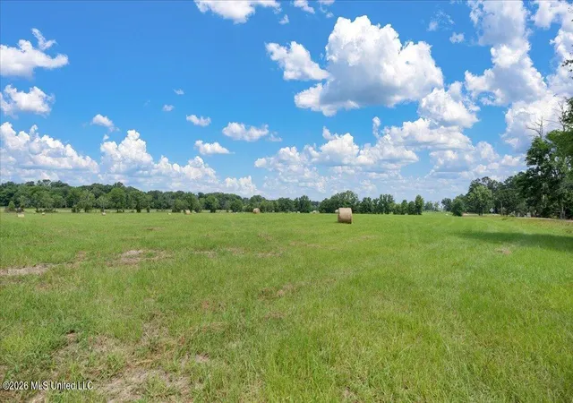 Homes for sale in Forest, MS | 0 Us-80, Forest, MS 39074 | MLS# 4146928
