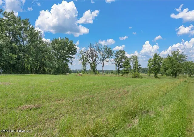 Homes for sale in Forest, MS | 0 Us-80, Forest, MS 39074 | MLS# 4146928