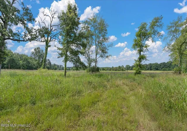 Homes for sale in Forest, MS | 0 Us-80, Forest, MS 39074 | MLS# 4146928