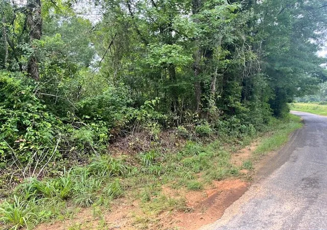 Photo 3 of Land for sale at Cole Dr Se, Ruth, MS 39662 | MLS# 4147148 | Listing updated on 2026-04-24