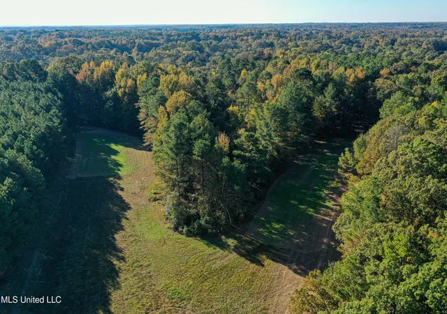 Homes for sale in Lexington, MS | 106 Crockrell Rd, Lexington, MS 39095 | MLS# 4147128