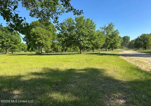 Photo 3 of Land for sale at N New Arbor Rd, Poplarville, MS 39470 | MLS# 4147176 | Listing updated on 2026-04-24