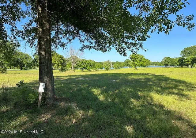 Photo 4 of Land for sale at N New Arbor Rd, Poplarville, MS 39470 | MLS# 4147176 | Listing updated on 2026-04-24