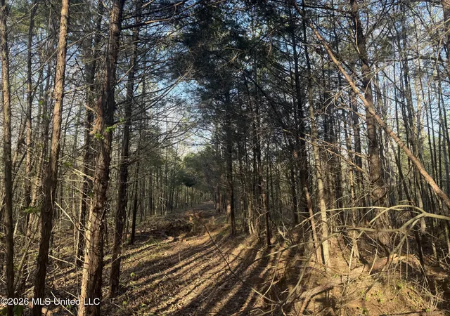 Homes for sale in Waterford, MS | Robert Ford Rd, Waterford, MS 38685 | MLS# 4147188