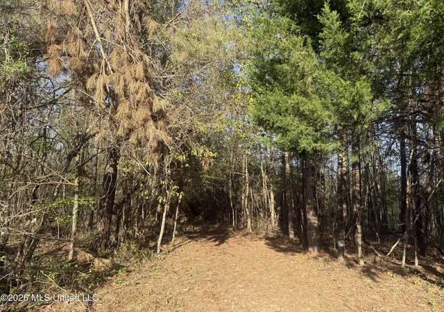Homes for sale in Waterford, MS | Robert Ford Rd, Waterford, MS 38685 | MLS# 4147188