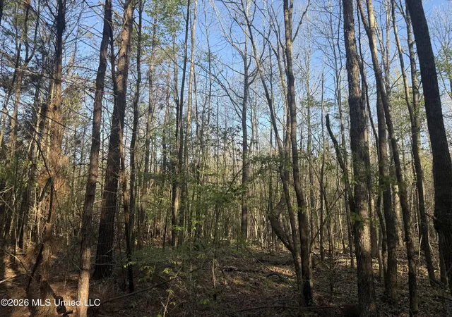 Homes for sale in Waterford, MS | Robert Ford Rd, Waterford, MS 38685 | MLS# 4147188
