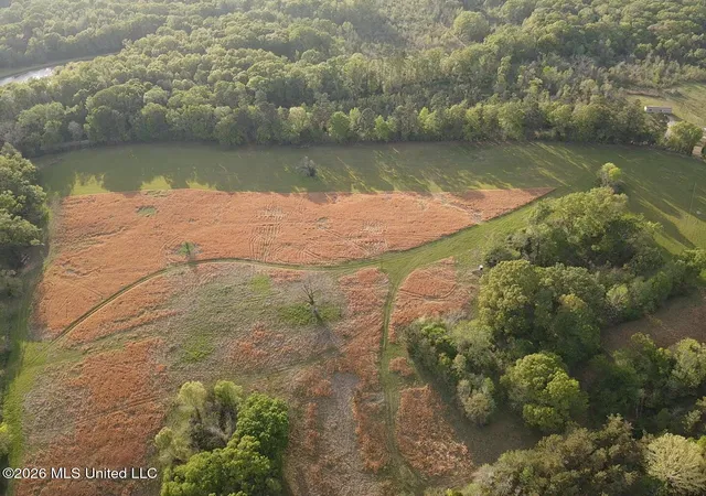 1st image of 0 Newman Rd, Edwards, MS 39066 | MLS# 4147245
