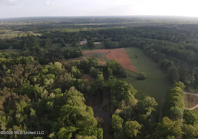 image of 0 Newman Rd, Edwards, MS 39066 | MLS# 4147245
