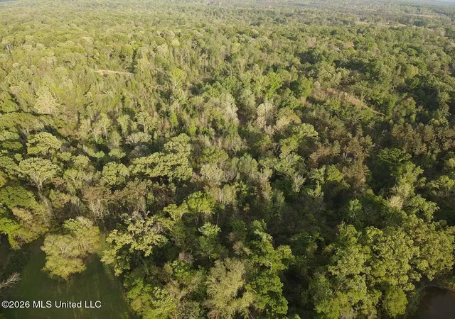 image of 0 Newman Rd, Edwards, MS 39066 | MLS# 4147245