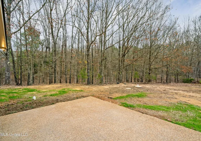 Homes for sale in Byhalia, MS | 31 Scattered Oaks Dr, Byhalia, MS 38611 | MLS# 4147787