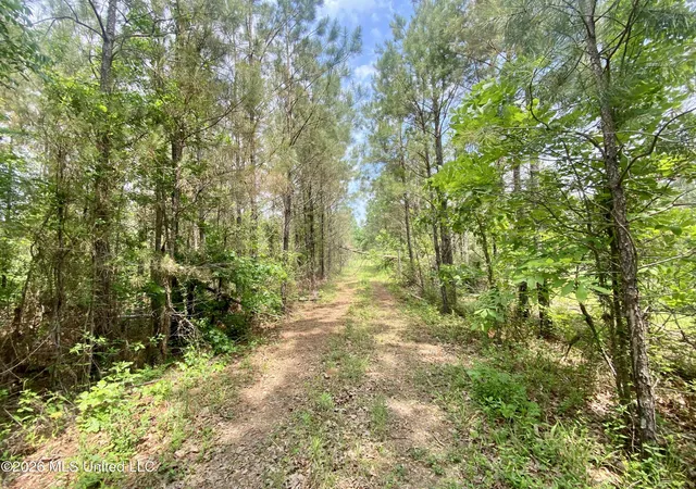 Photo 1 of Land for sale at 0 Henry Harris Rd, Utica, MS 39175 | MLS# 4147452 | Listing updated on 2026-07-16