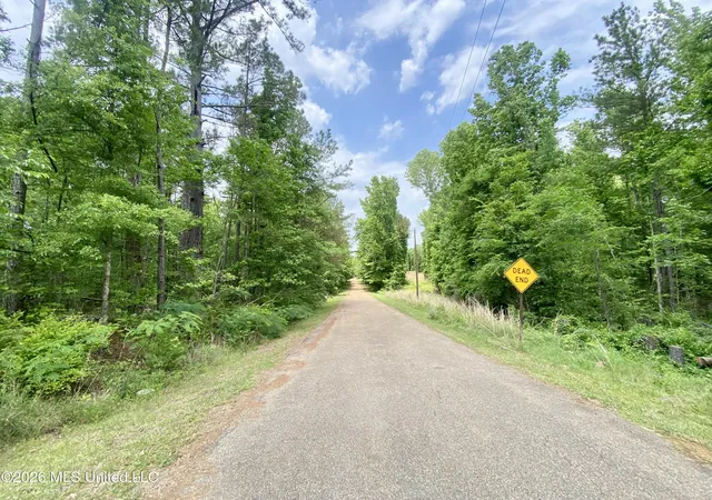 Photo 3 of Land for sale at 0 Henry Harris Rd, Utica, MS 39175 | MLS# 4147452 | Listing updated on 2026-07-16