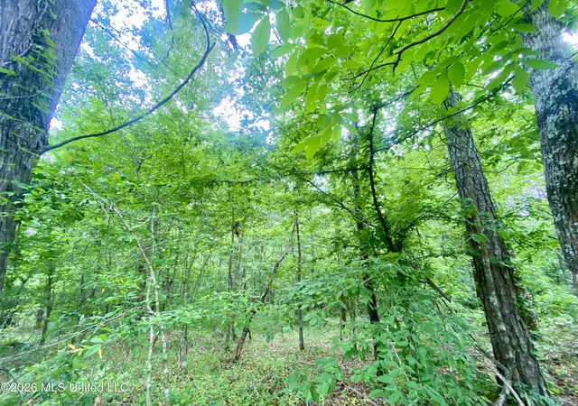 Photo 3 of Land for sale at 0 Henry Harris Rd, Utica, MS 39175 | MLS# 4147452 | Listing updated on 2026-07-16