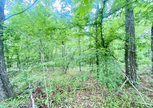 Photo 4 of Land for sale at 0 Henry Harris Rd, Utica, MS 39175 | MLS# 4147452 | Listing updated on 2026-07-16