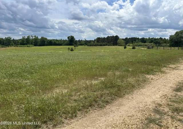 Homes for sale in Brookhaven, MS | 00 Nw California Rd, Brookhaven, MS 39601 | MLS# 4147393