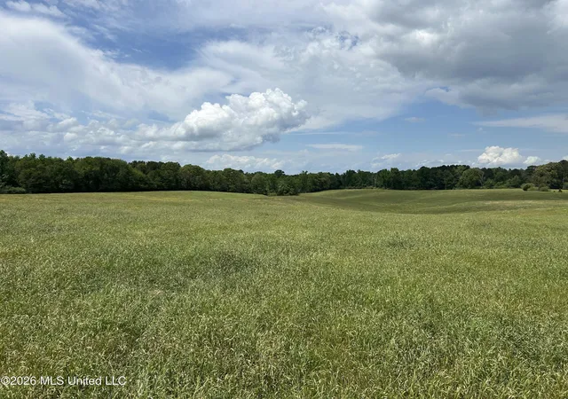 Homes for sale in Brookhaven, MS | 00 Nw California Rd, Brookhaven, MS 39601 | MLS# 4147393