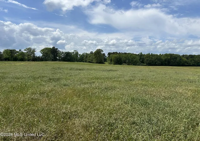 Homes for sale in Brookhaven, MS | 00 Nw California Rd, Brookhaven, MS 39601 | MLS# 4147393