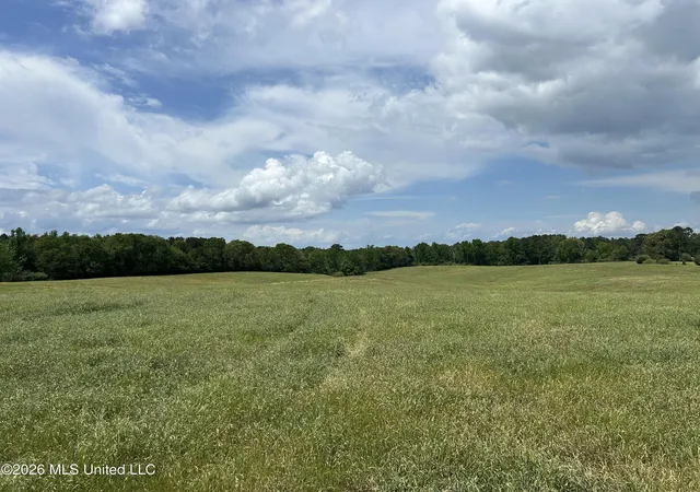 Homes for sale in Brookhaven, MS | 00 Nw California Rd, Brookhaven, MS 39601 | MLS# 4147393