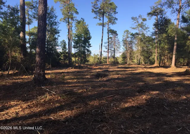 2nd image of Crump Rd, Kiln, MS 39556 | MLS# 4147431