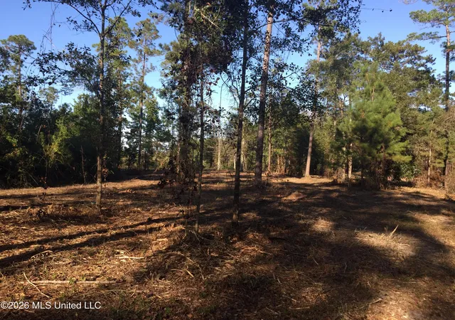 3rd image of Crump Rd, Kiln, MS 39556 | MLS# 4147431