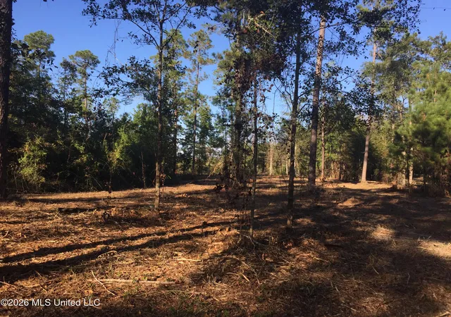 4th image of Crump Rd, Kiln, MS 39556 | MLS# 4147431