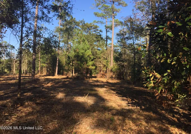 5th image of Crump Rd, Kiln, MS 39556 | MLS# 4147431