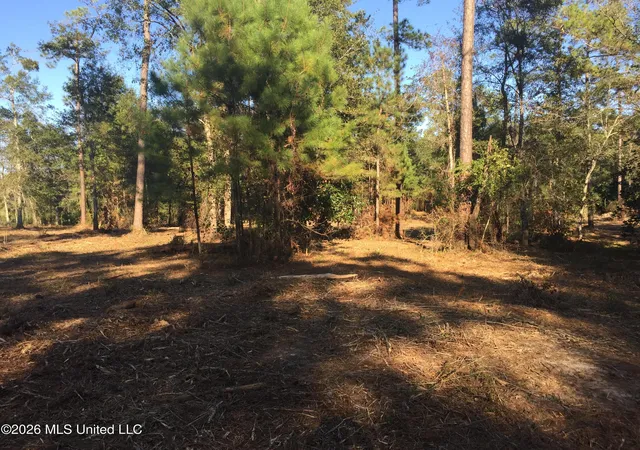 9th image of Crump Rd, Kiln, MS 39556 | MLS# 4147431