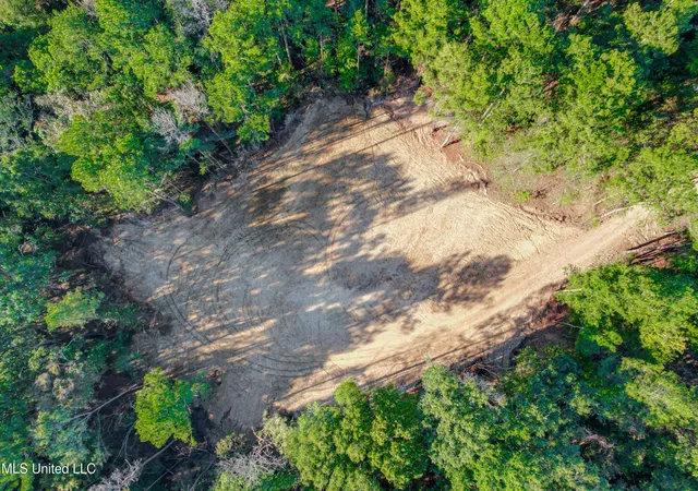 14th image of Mount Leopard Rd, Flora, MS 39071 | MLS# 4147425