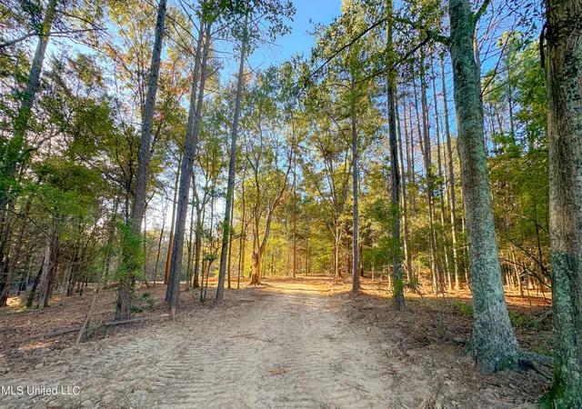 1st image of Mount Leopard Rd, Flora, MS 39071 | MLS# 4147425