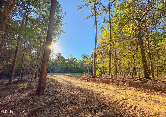 2nd image of Mount Leopard Rd, Flora, MS 39071 | MLS# 4147425