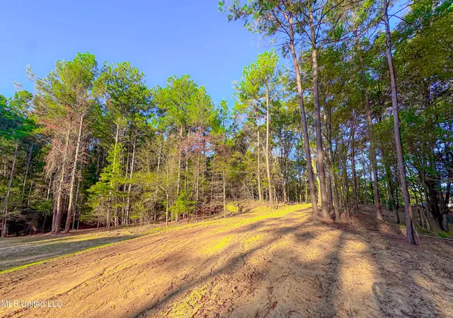 3rd image of Mount Leopard Rd, Flora, MS 39071 | MLS# 4147425