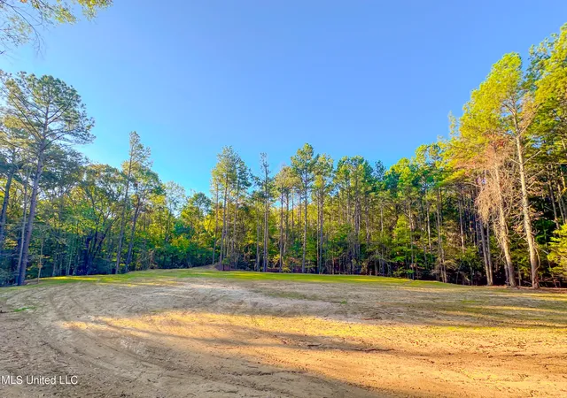 4th image of Mount Leopard Rd, Flora, MS 39071 | MLS# 4147425