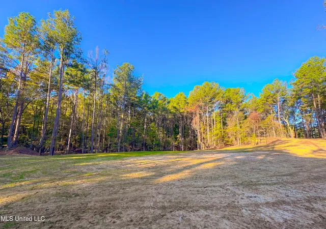 5th image of Mount Leopard Rd, Flora, MS 39071 | MLS# 4147425