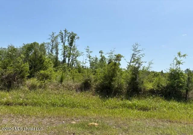 3rd image of W Wire Rd, Vancleave, MS 39565 | MLS# 4147448