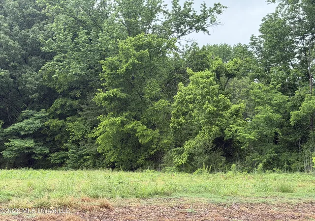 Photo 1 of Sale Pending at Green River Rd, Lake Cormorant, MS 38641 | MLS# 4147677 | Listing updated on 2026-09-25