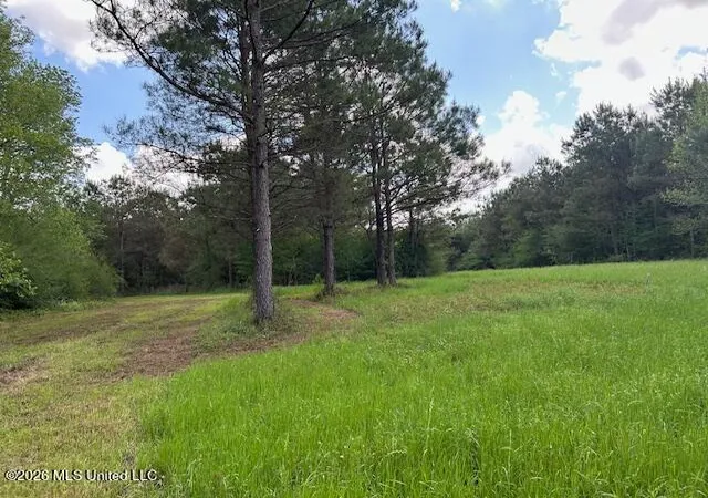 Homes for sale in Tylertown, MS | Vaniel Holmes Rd, Tylertown, MS 39667 | MLS# 4147518