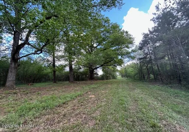 Homes for sale in Tylertown, MS | Vaniel Holmes Rd, Tylertown, MS 39667 | MLS# 4147518