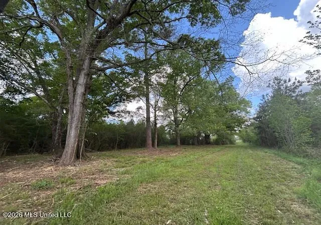 Homes for sale in Tylertown, MS | Vaniel Holmes Rd, Tylertown, MS 39667 | MLS# 4147518
