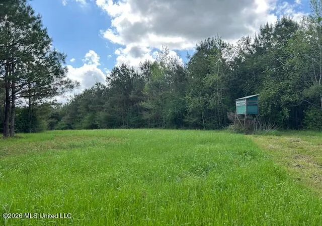 Homes for sale in Tylertown, MS | Vaniel Holmes Rd, Tylertown, MS 39667 | MLS# 4147518