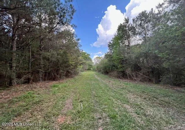 Homes for sale in Tylertown, MS | Vaniel Holmes Rd, Tylertown, MS 39667 | MLS# 4147518