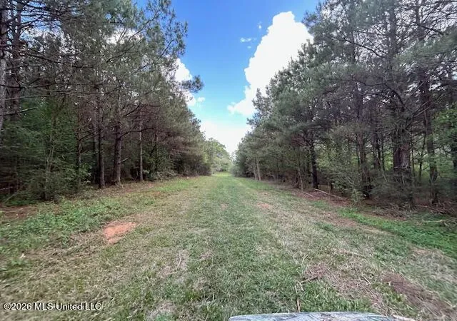 Homes for sale in Tylertown, MS | Vaniel Holmes Rd, Tylertown, MS 39667 | MLS# 4147518