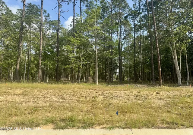 Photo 3 of Land for sale at Lot 36 Maluhia Dr, Diamondhead, MS 39525 | MLS# 4147528 | Listing updated on 2026-04-28