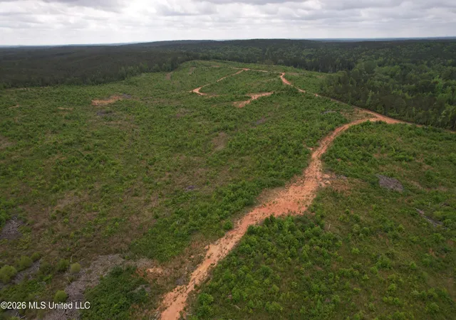 Homes for sale in Ethel, MS | County Road 5223, Ethel, MS 39067 | MLS# 4147967
