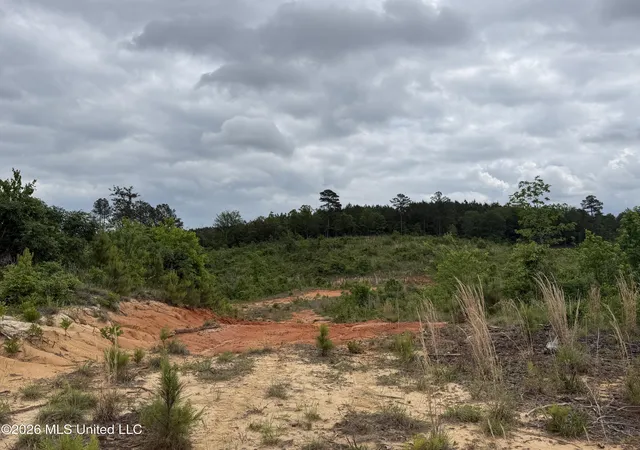 Homes for sale in Ethel, MS | County Road 5223, Ethel, MS 39067 | MLS# 4147967
