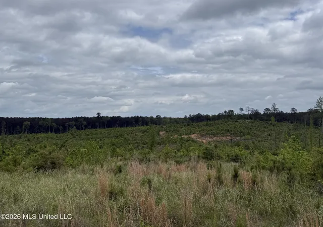 Homes for sale in Ethel, MS | County Road 5223, Ethel, MS 39067 | MLS# 4147967
