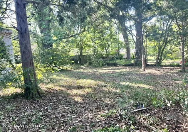 Photo 4 of Single family home for sale at 316 Lexington Ave, Jackson, MS 39209 | MLS# 4147709 | Listing updated on 2026-09-08