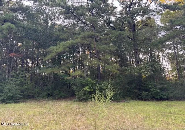 Homes for sale in Mc Comb, MS | Lot #3 Park Pl, Mc Comb, MS 39648 | MLS# 4147734
