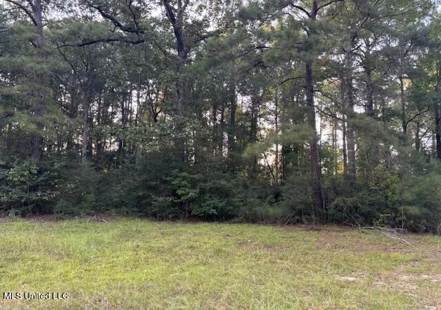 Homes for sale in Mc Comb, MS | Lot #3 Park Pl, Mc Comb, MS 39648 | MLS# 4147734
